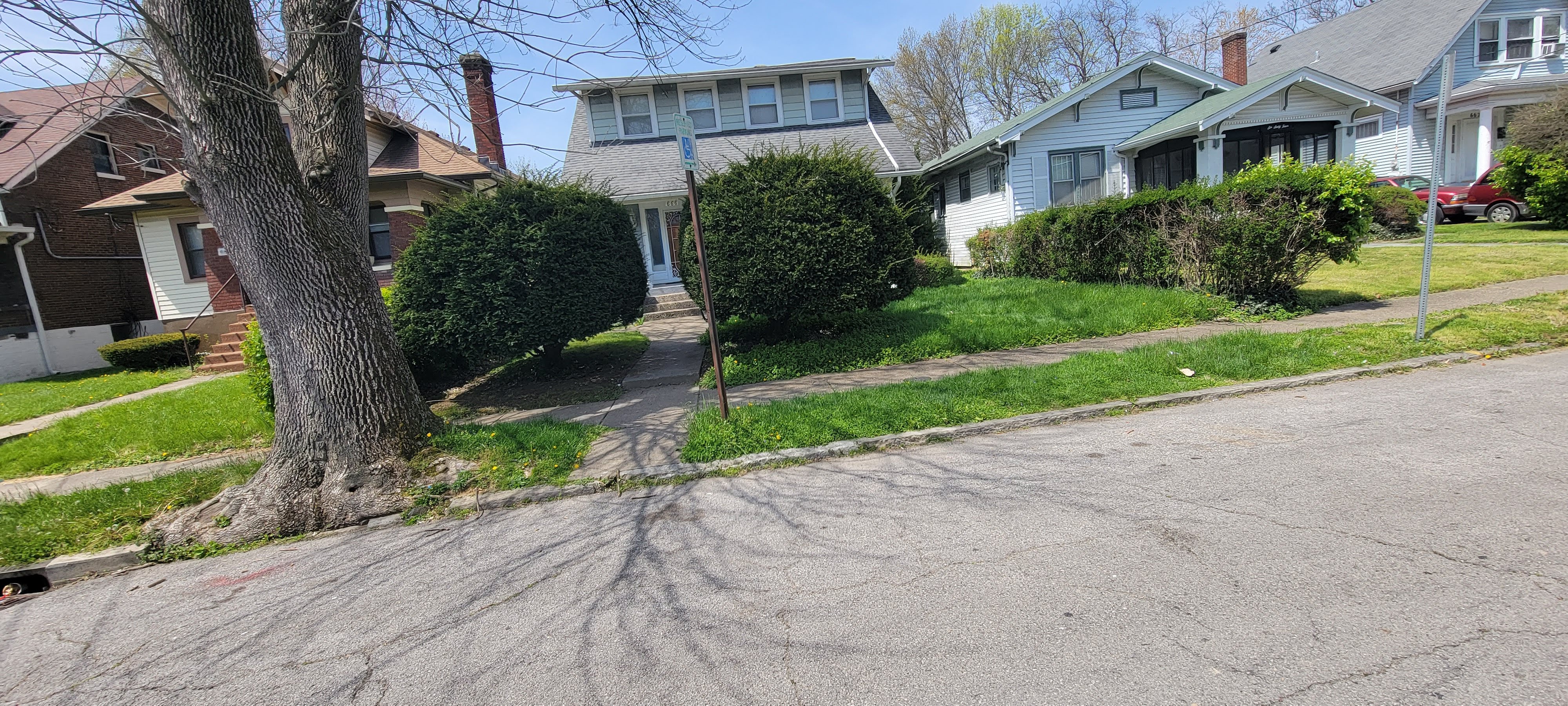 Freshly mowed lawn