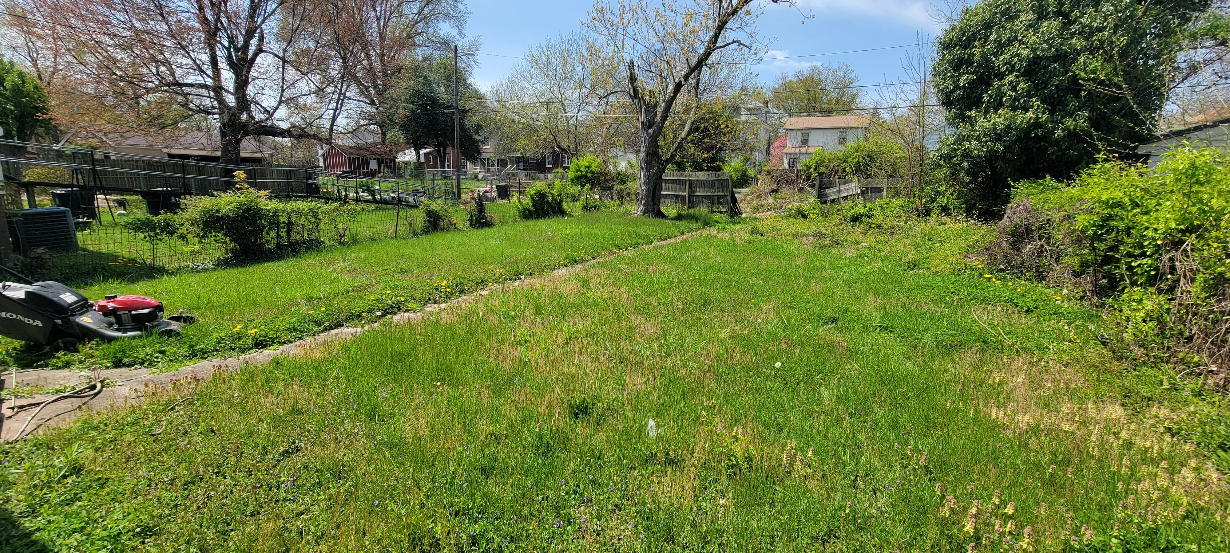 Lawn work photo 1