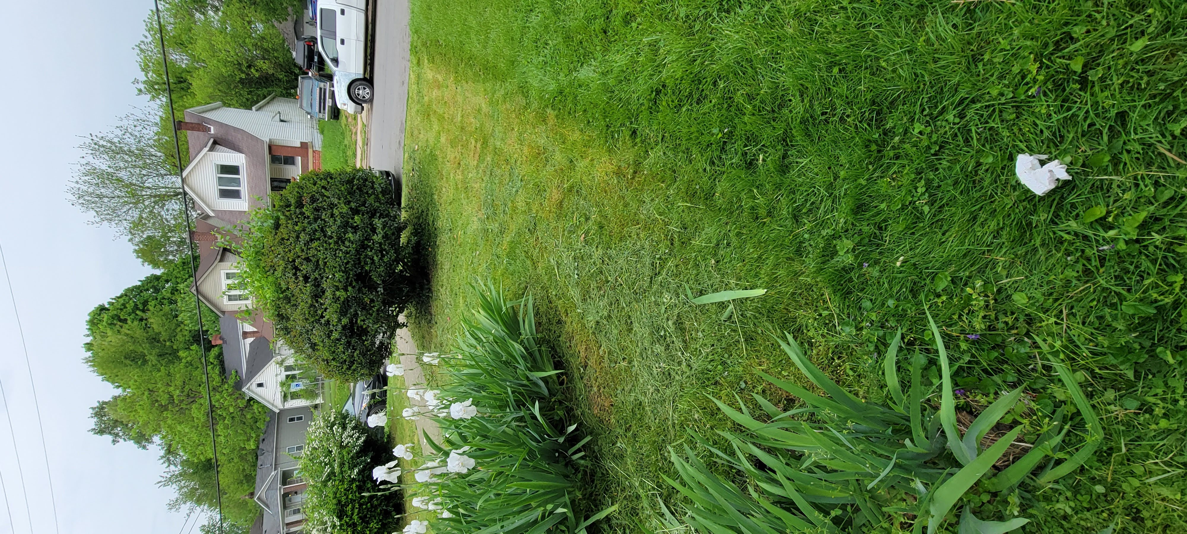 Lawn work photo 4