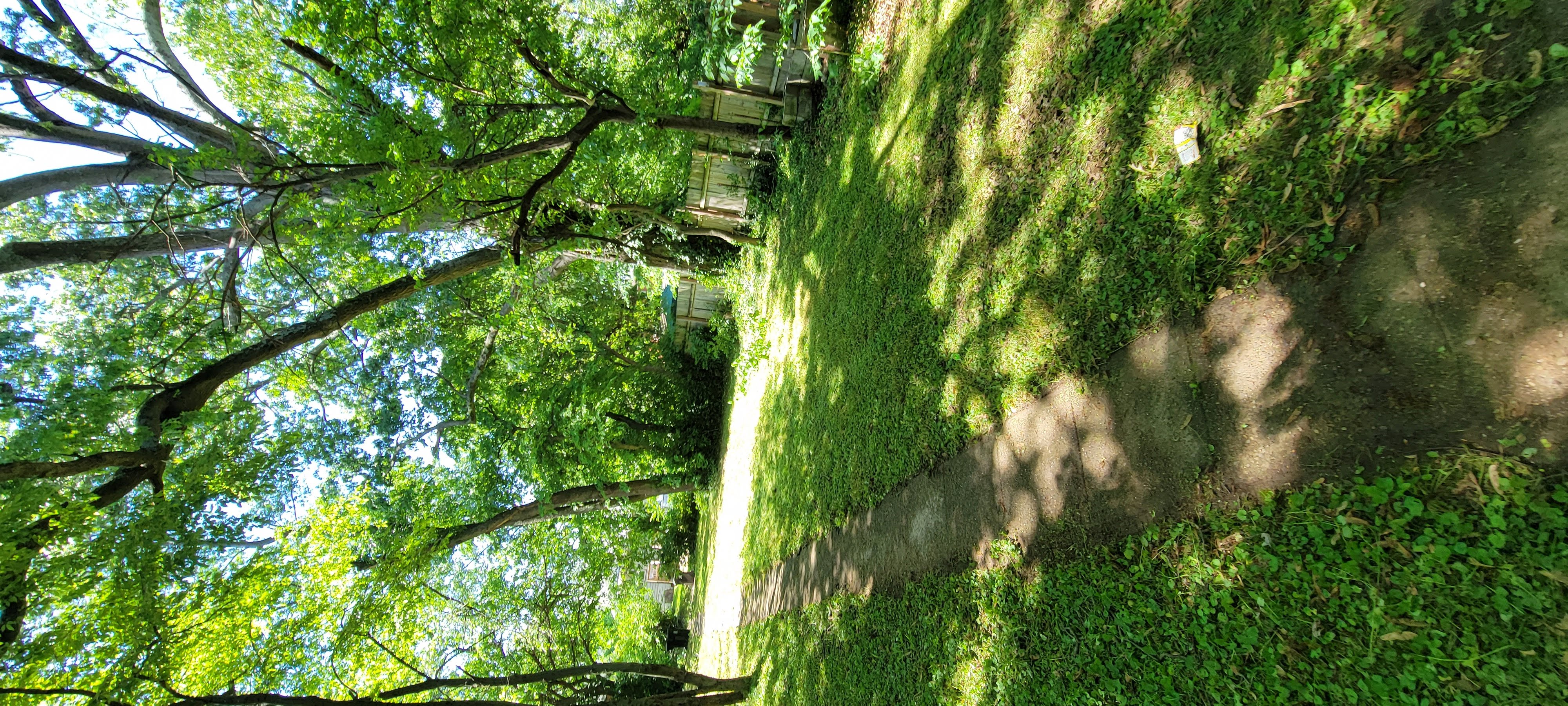 Lawn work photo 6